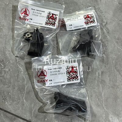 140512010002B, 140512020001B SANY Druckmessgerät