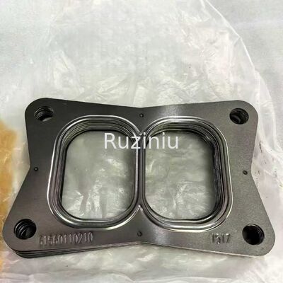 60125030 SANY Turboladerdichtung